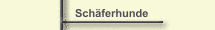 Sch&auml;ferhunde